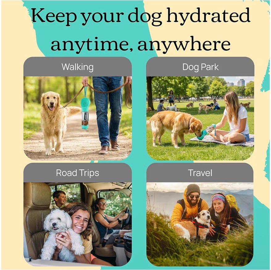 Pethingss AquaPet Go™ 4-in-1